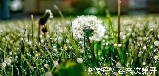 食物|“老得慢”的女性,多半爱吃6种食物,快来瞧瞧,有几个你爱吃的