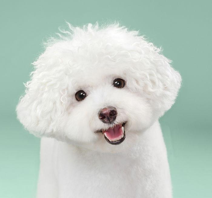 |搞笑段子:男子出差回家,并没有告诉家人,到家门口时偷偷听见