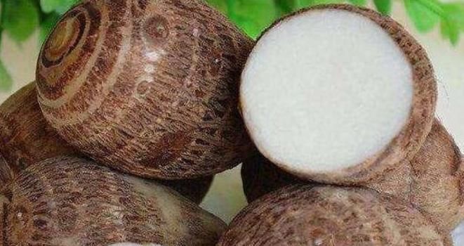 肠道健康|地下人参你知道是什么吗?,真正的护脾王,养脾胃,建议老人多吃