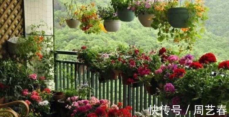 阳台养花,有2个“大道理”,做好其中之一,养花高手就是你
