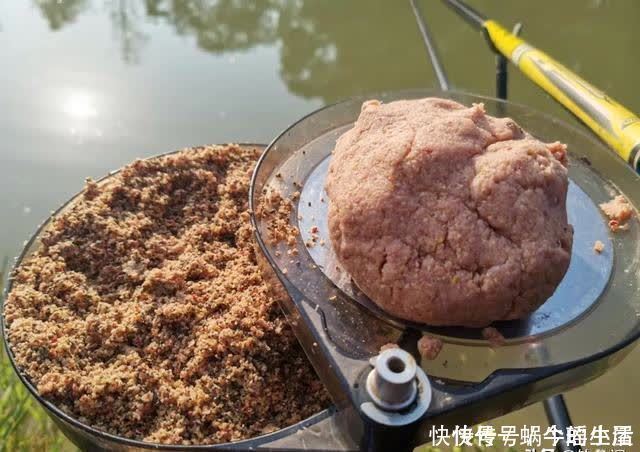 鱼竿|别拿野钓装备去玩黑坑,新手入坑须知:先得把这些渔具买齐了