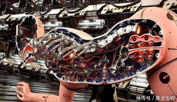 仿真|“女性机器人”为什么火?外表颜值高、功能强,内部结构也一清二楚