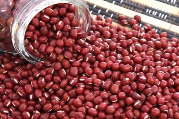 菠萝蜜|女生来例假时,4种零食放开吃,子宫干净光滑,体重悄悄降!