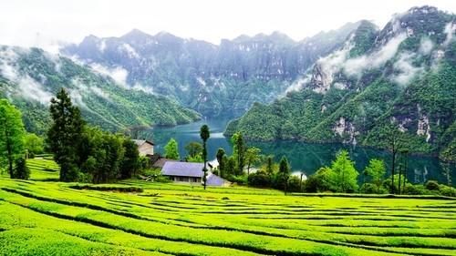 鹤峰金山村：隐藏在山水诗卷中的小山村