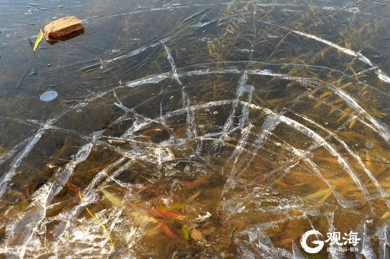  观海摄影师|今日冬至：白昼最短，思念最长！