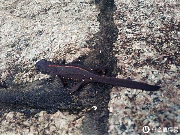 小雨|好装备清单？不了，只说格里高利NANO和KEEN UNEEK