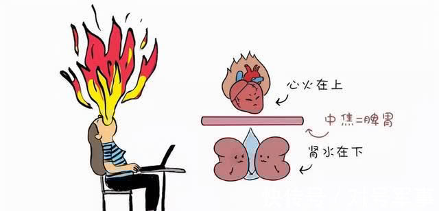 桂圆肉|10月吃龙眼,顶过老母鸡!龙眼这样用,气血足、睡眠好、脾胃强