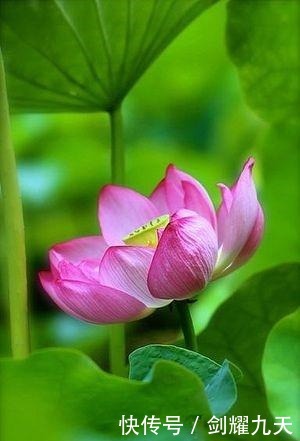 充满正能量的人生哲理语录,精辟透彻,让人幡然醒悟!