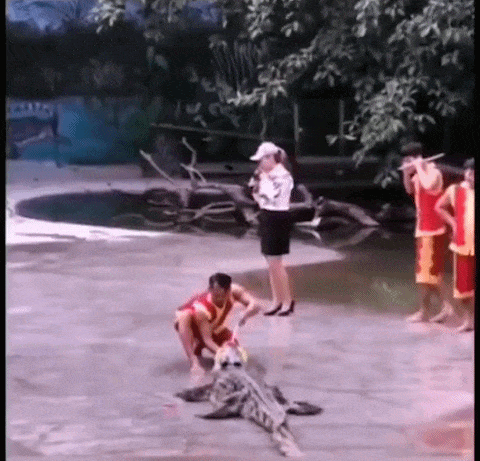 如来佛祖真是有钱,连看猴都要花钱看