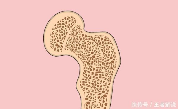 减肥|减肥吃代餐管用吗？坚持吃代餐，到底是变胖还是会变瘦？