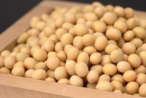 脑梗|常头晕头痛或是脑供血不足,坚持吃3物,有助疏通血管、防脑梗