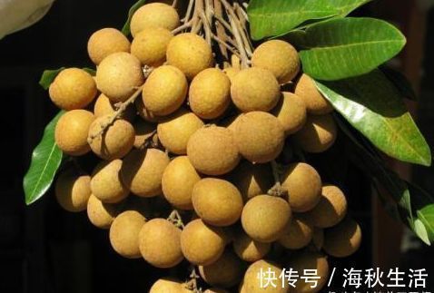 食物|人到中年不想老,以下食物多吃,提高免疫力,宽肠通便,排毒养颜