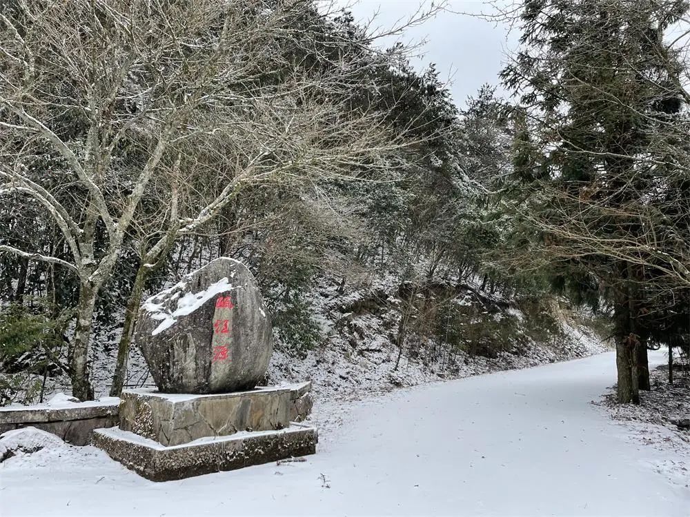 一夜之间|赏绝美雪景，邂逅野生小动物！