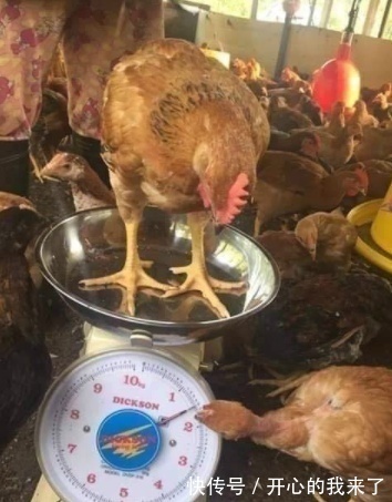 |搞笑GIF趣图:为了拍照,妹子也是拼了,不顾形象了