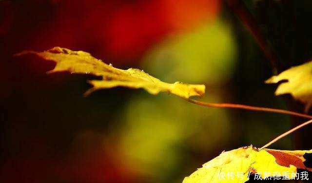 不尽|50句古风,写不尽一世的寂寞,画不成一生的相思