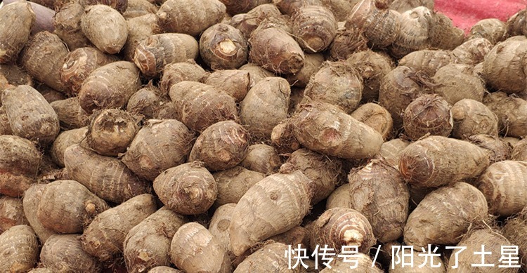 肋排|贴秋膘,一荤一素来搭配,蒸20分钟就出锅,香味四溢,解馋又营养!