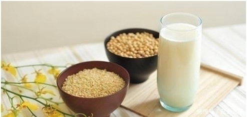 牛奶|每天应该喝牛奶还是豆浆?养生专家:你之前可能一直都错了