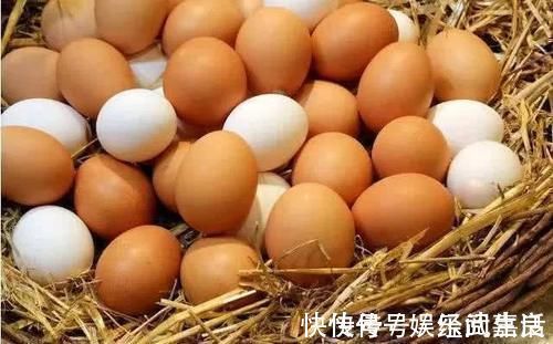 红皮鸡蛋|鸡蛋是红皮的好还是白皮的好,听养生专家一解释,庆幸自己没买错!