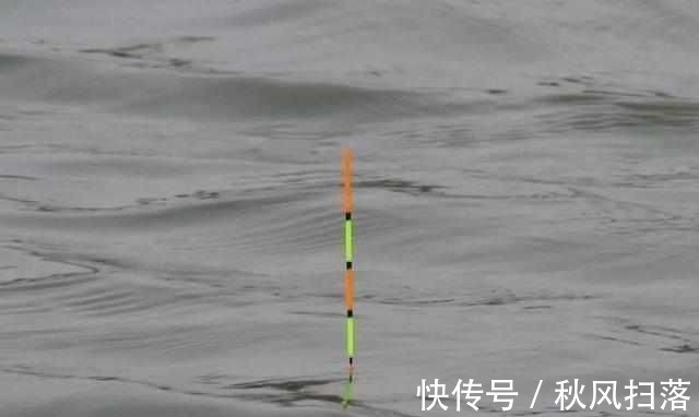 浮漂顶起又落下,提竿却均不中鱼解读3种奇怪漂相不中鱼的原因