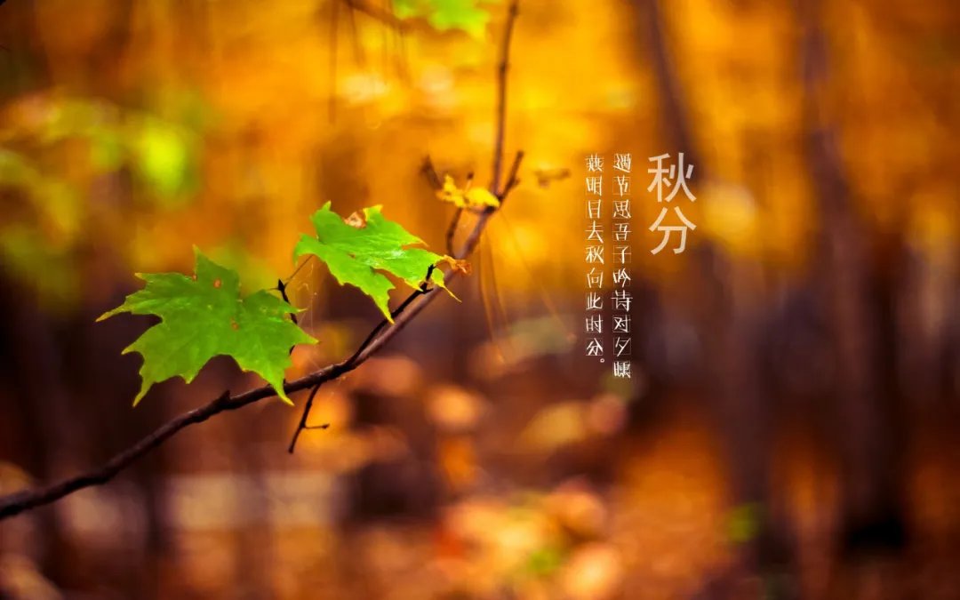 秋天&诗词丨又是一年秋分至，秋夜渐凉情渐长