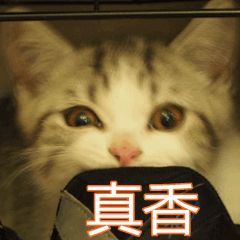 宝安区|深圳又一批公租房正接受申请,全是2室1厅