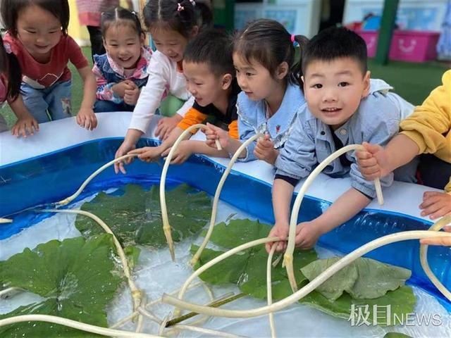 宝宝|赏藕尖、钓龙虾、摘枇杷，幼儿园宝宝忙研学