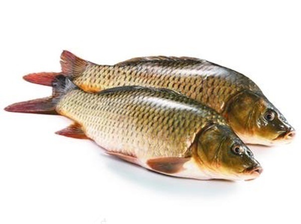 食物|经常腰疼,可以多吃3种食物,现在知道还不晚