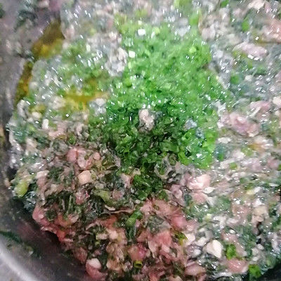 荠菜肉馅饺子馄饨