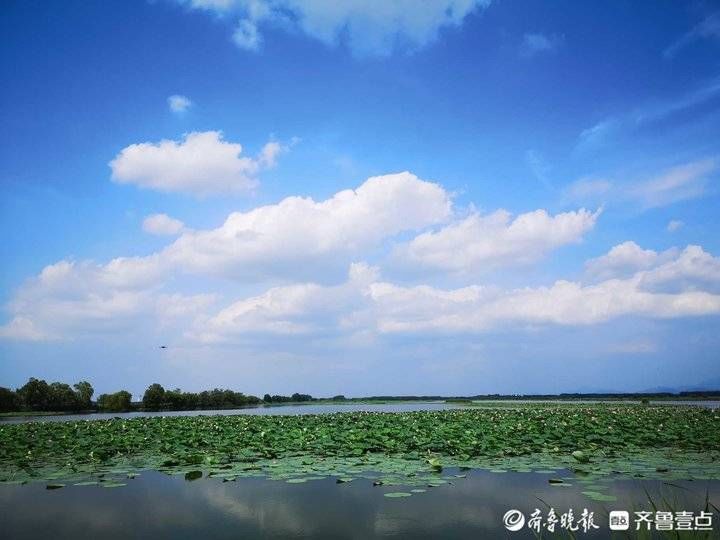 蓝天|最美盛夏，济南东郊出现靓丽蓝天彩云