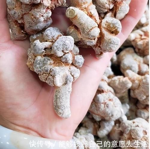 黑名单|4种中药别乱吃!已被医生列入伤肝“黑名单”,伤肝又伤肾