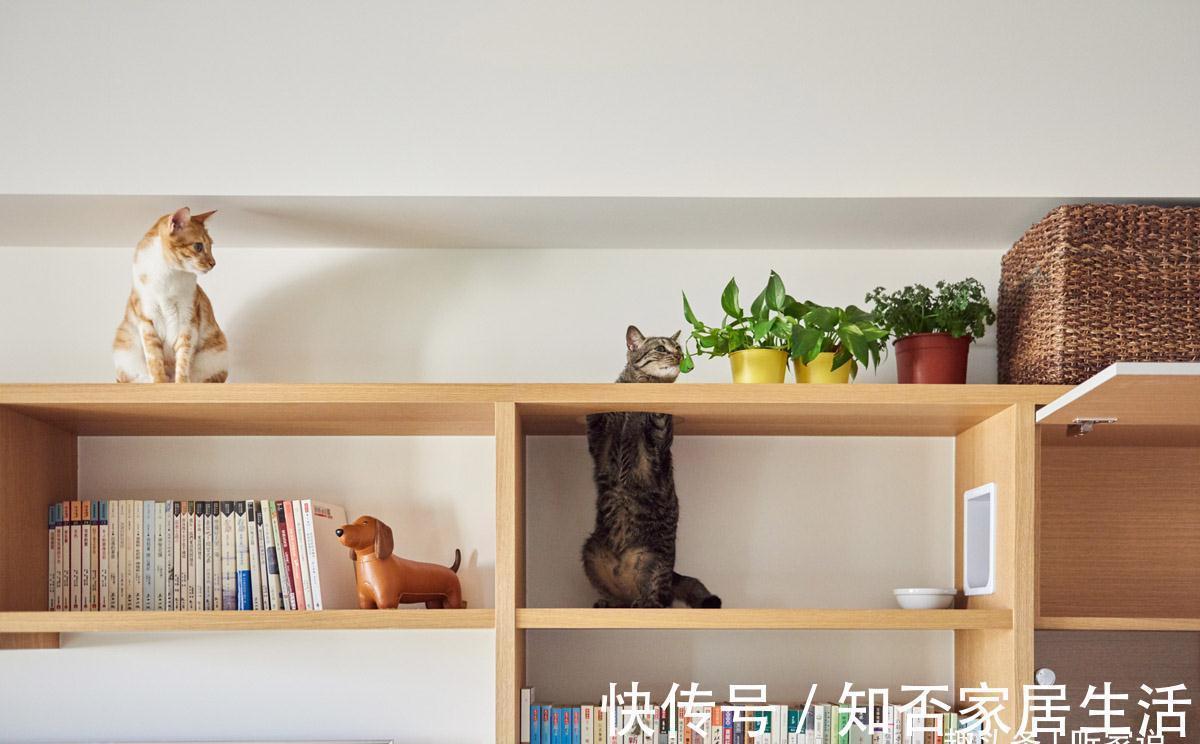 干净|日本90后姑娘太自律:每天把家收拾得一尘不染,入住4年干净如新