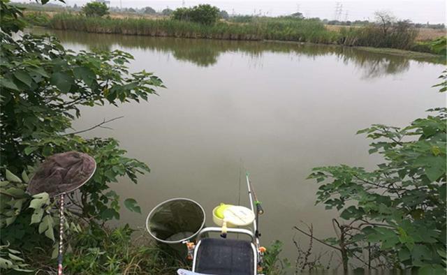 阴转晴|钓鱼与天气：阴天闷热气压低，鱼就一定难钓？夏季阴天如何钓鱼？