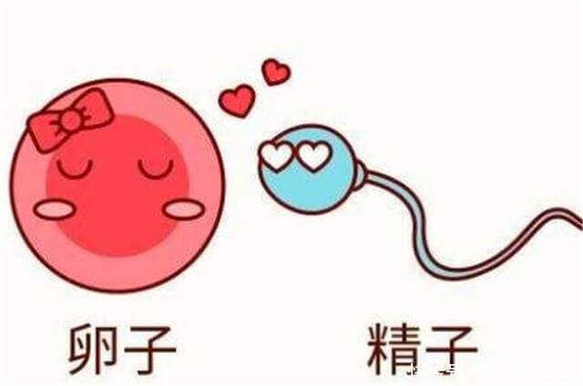 边缘性行为|20岁女孩腹痛就医，却被告知已怀孕，女孩不可能，我还是处女身