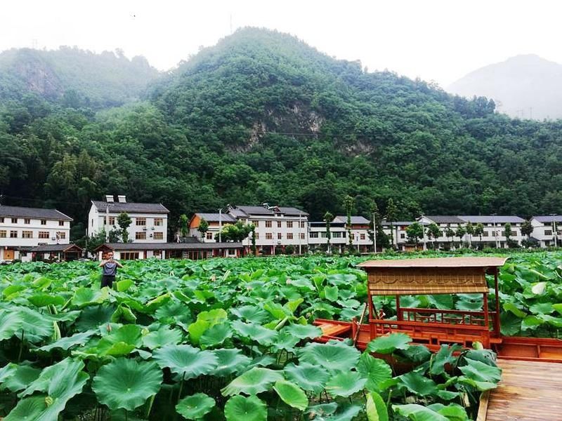 美景|仙河湾、荷花塘...郧西关防乡沙沟村美景如画