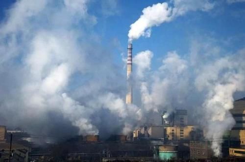 养肺“冠军”公布了!雪梨百合靠边站,敞开吃,肺或干净又强壮