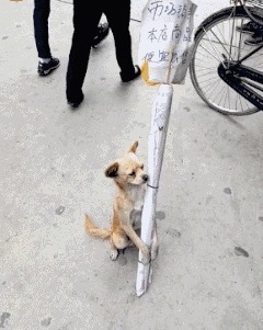 |搞笑GIF:原来我们讨厌的不是广场舞 而是那些大妈