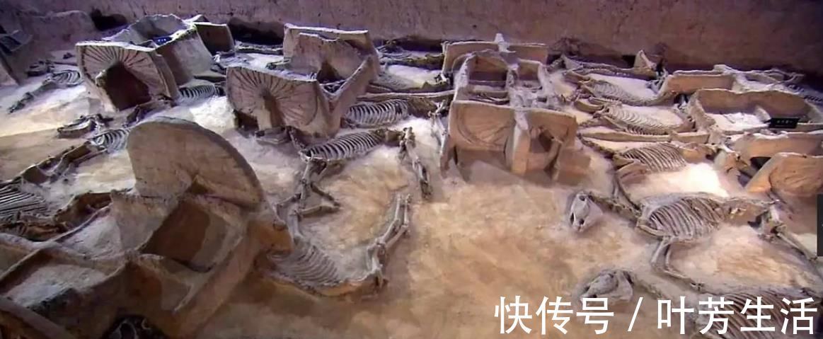 黑人|殷墟挖出大量黑人头骨，学者研究后感慨：妇好拯救了中华民族