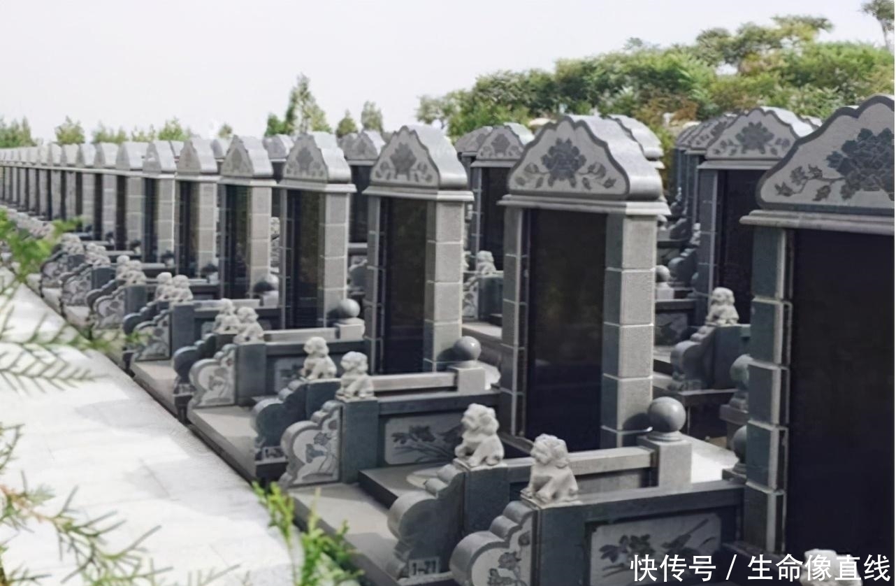 墓地|“千人挣钱,不如一人睡觉”,难道睡觉也赚钱?别理解错了