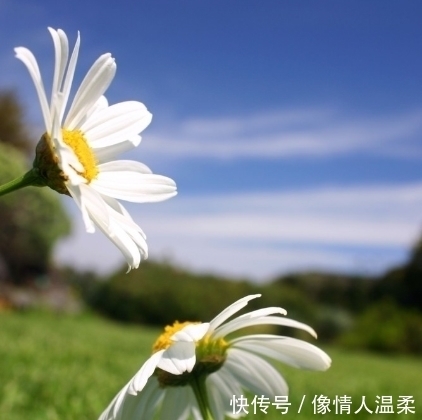 财官|再过3天走大运享富贵的生肖,钱财翻倍涨,前途光明,财官两旺