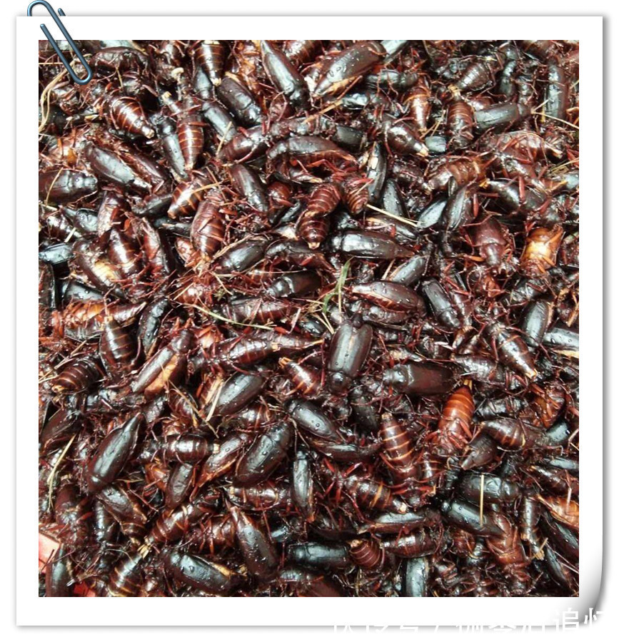 趣事|两亿多80后的童年趣事之美食篇