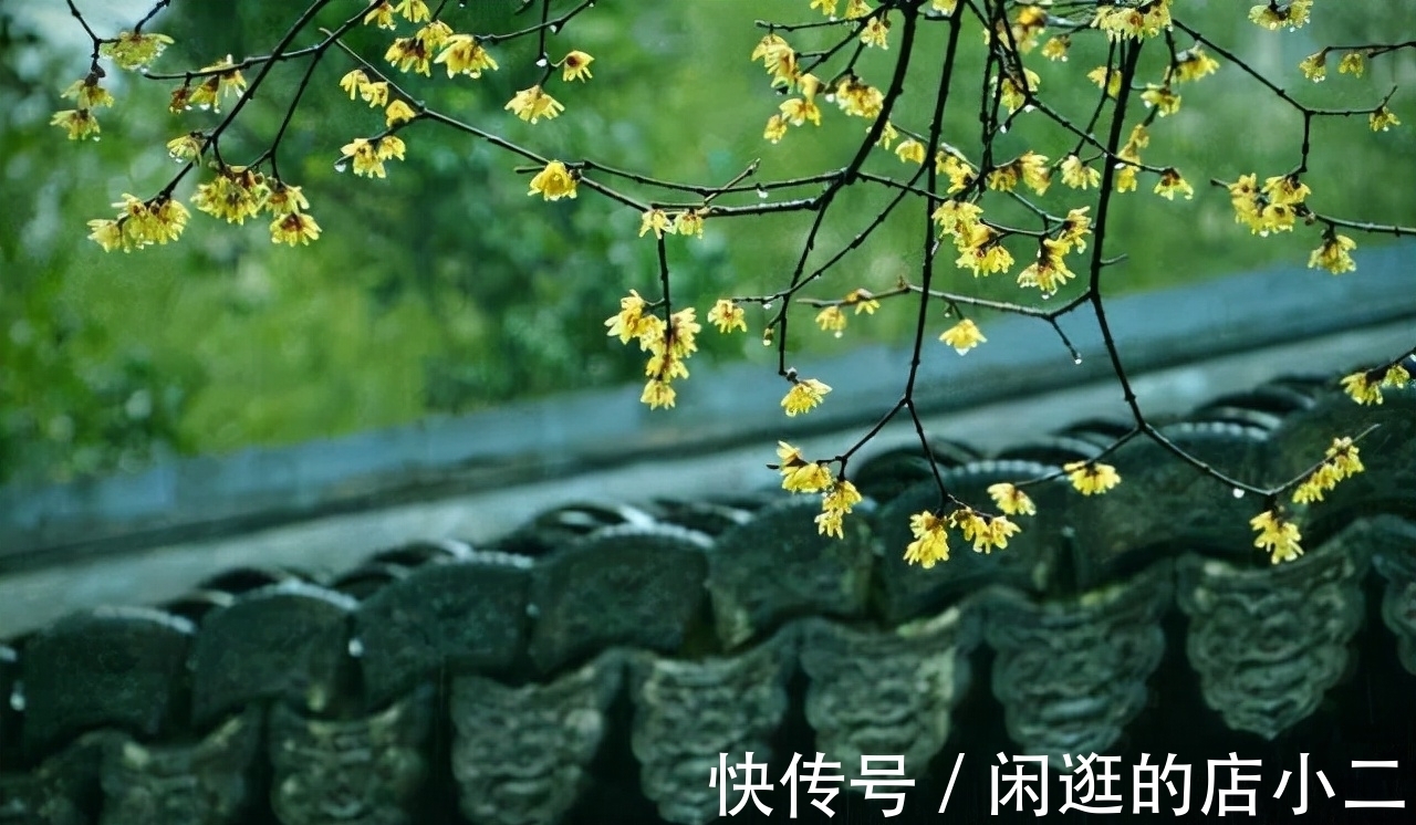 花弄影@张先最喜欢的一首天仙子,一句“云破月来花弄影”被后世传诵千古