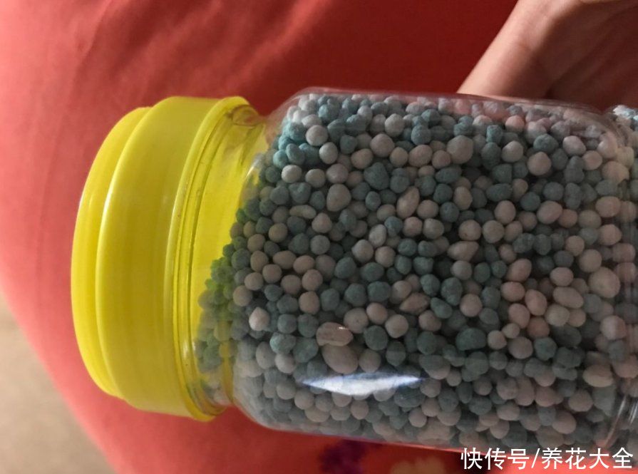  明明白白|养花用的肥料你搞明白了吗？4个代表性问题，让你明明白白的