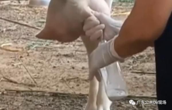 感染|五旬阿姨关节痛几个月，罪魁祸首竟是一碗汤！