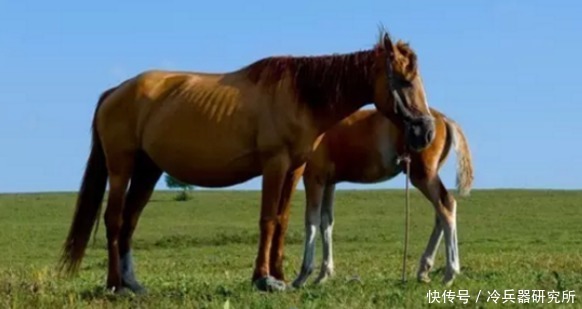 光秦兵俑有绿脸,马俑涂装也走结合风?秦始皇手办比唐三彩更精彩