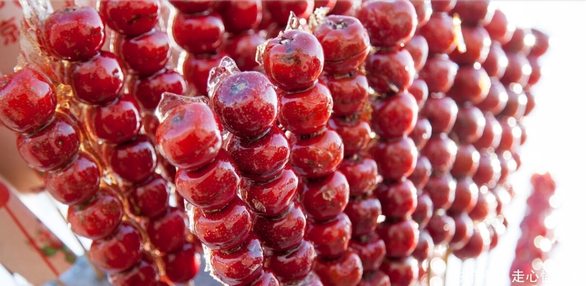 棠梨|山上的这种野果,我们叫它棠梨子,还能做糖葫芦,这种做法好吃