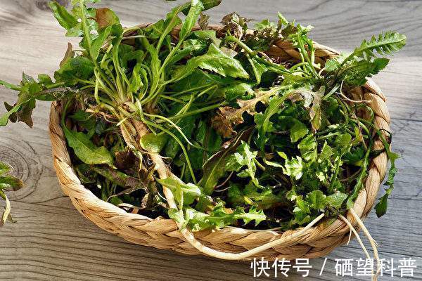 木耳菜|牛奶靠边站,补钙不妨试试这5种菜!每天炒一盘,小孩老人都爱吃