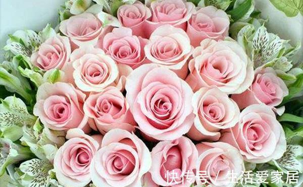 花型|10款切花月季品种推荐,送给爱你的人和你爱的人,快收藏