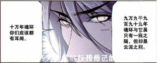 魂环|斗罗大陆:99999年魂环和十万年魂环有何不同?海马斗罗给出答案