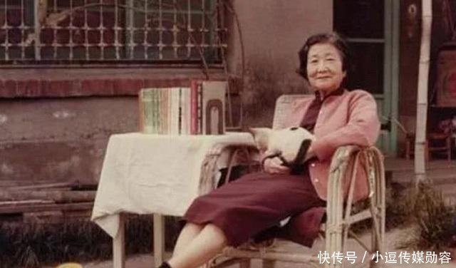 因鲁迅拒绝握手,“追星失败后”的苏雪林,骂了鲁迅半辈子!