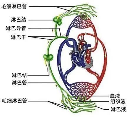 小伙|误入女儿国？27岁小伙每天产“奶”2斤，竟是这里漏了→